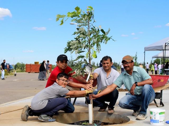 Alberta Muslim community plants first of 1000 trees outside Mosque