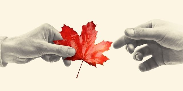 Canadian generosity hits lowest point in 20 years