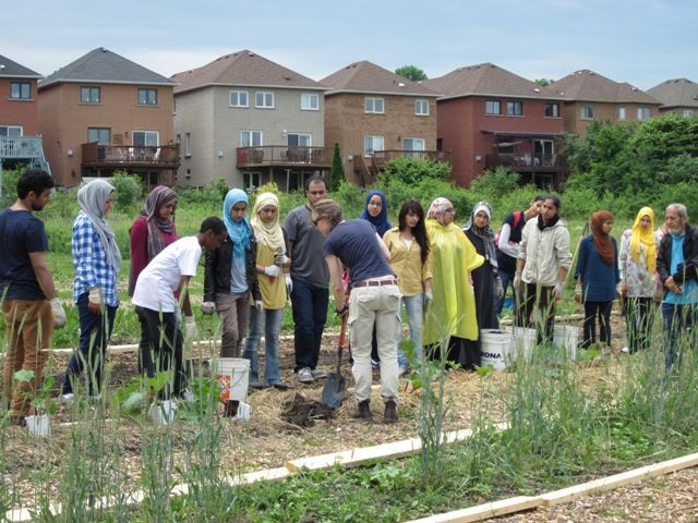 Community Planting Initiative Supports Local Food Bank