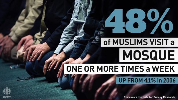 Canadian Muslim Youth increasingly more devout